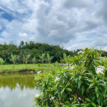 Jazz Ferme Inn Batuan Bohol Exterior foto