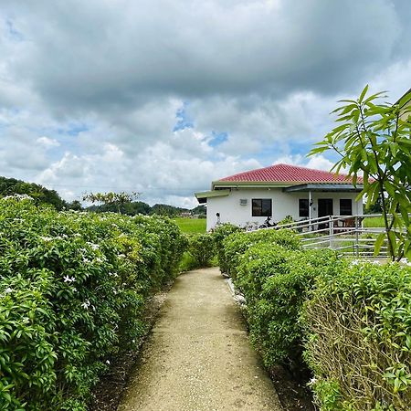 Jazz Ferme Inn Batuan Bohol Exterior foto