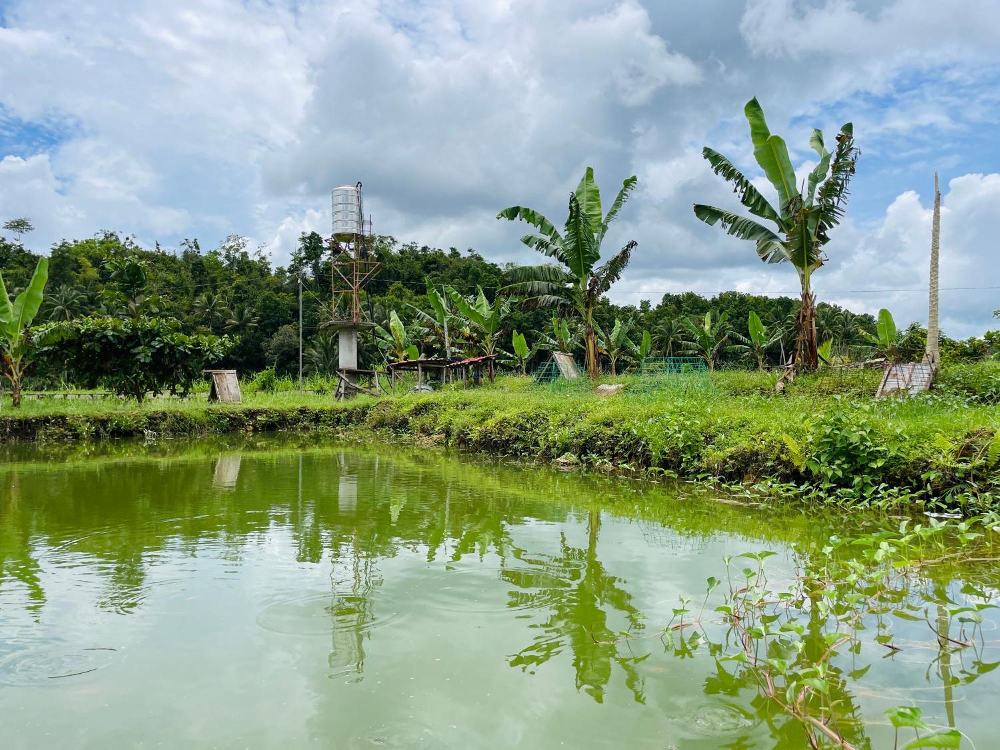 Jazz Ferme Inn Batuan Bohol Exterior foto