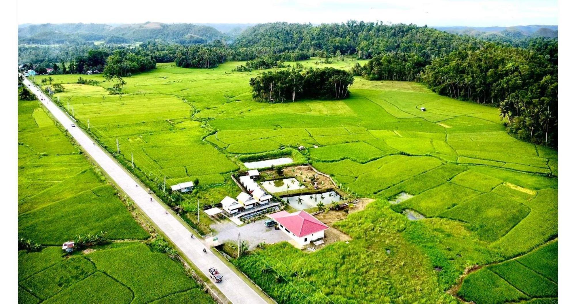 Jazz Ferme Inn Batuan Bohol Exterior foto