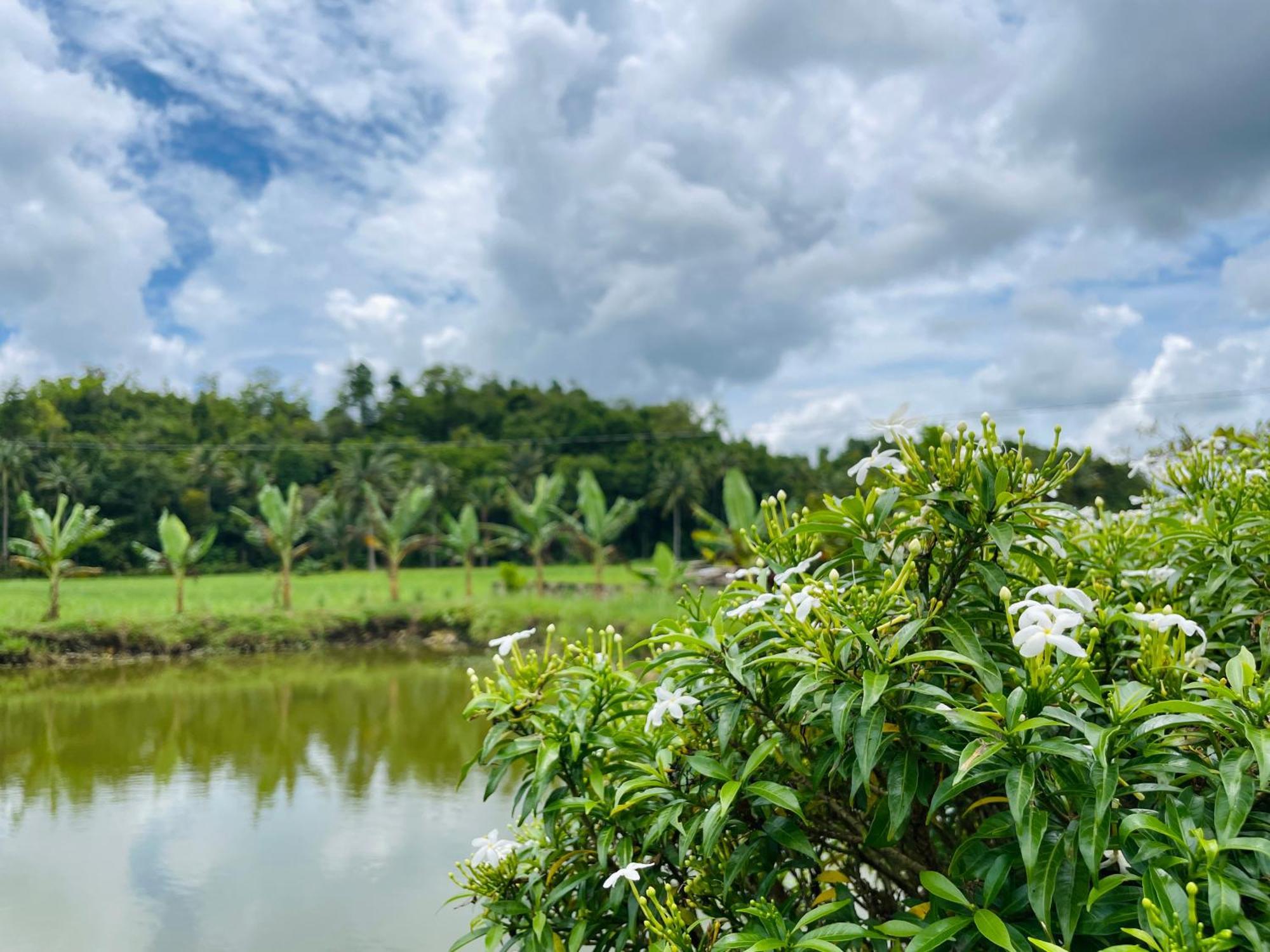 Jazz Ferme Inn Batuan Bohol Exterior foto