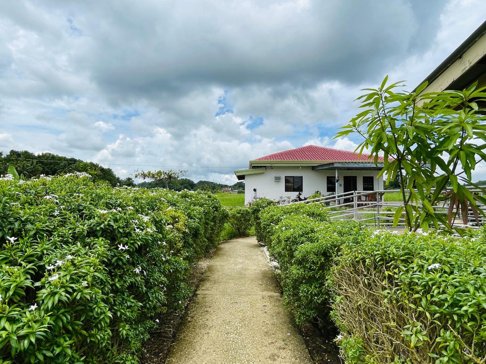 Jazz Ferme Inn Batuan Bohol Exterior foto