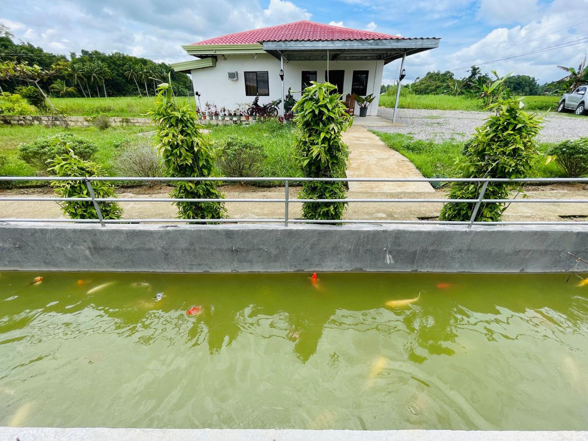 Jazz Ferme Inn Batuan Bohol Exterior foto