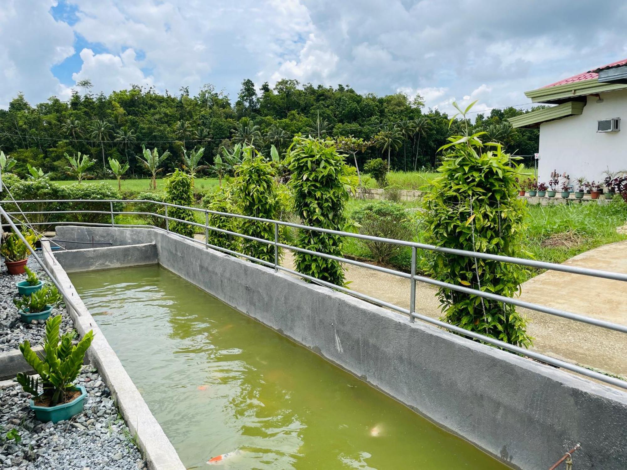 Jazz Ferme Inn Batuan Bohol Exterior foto