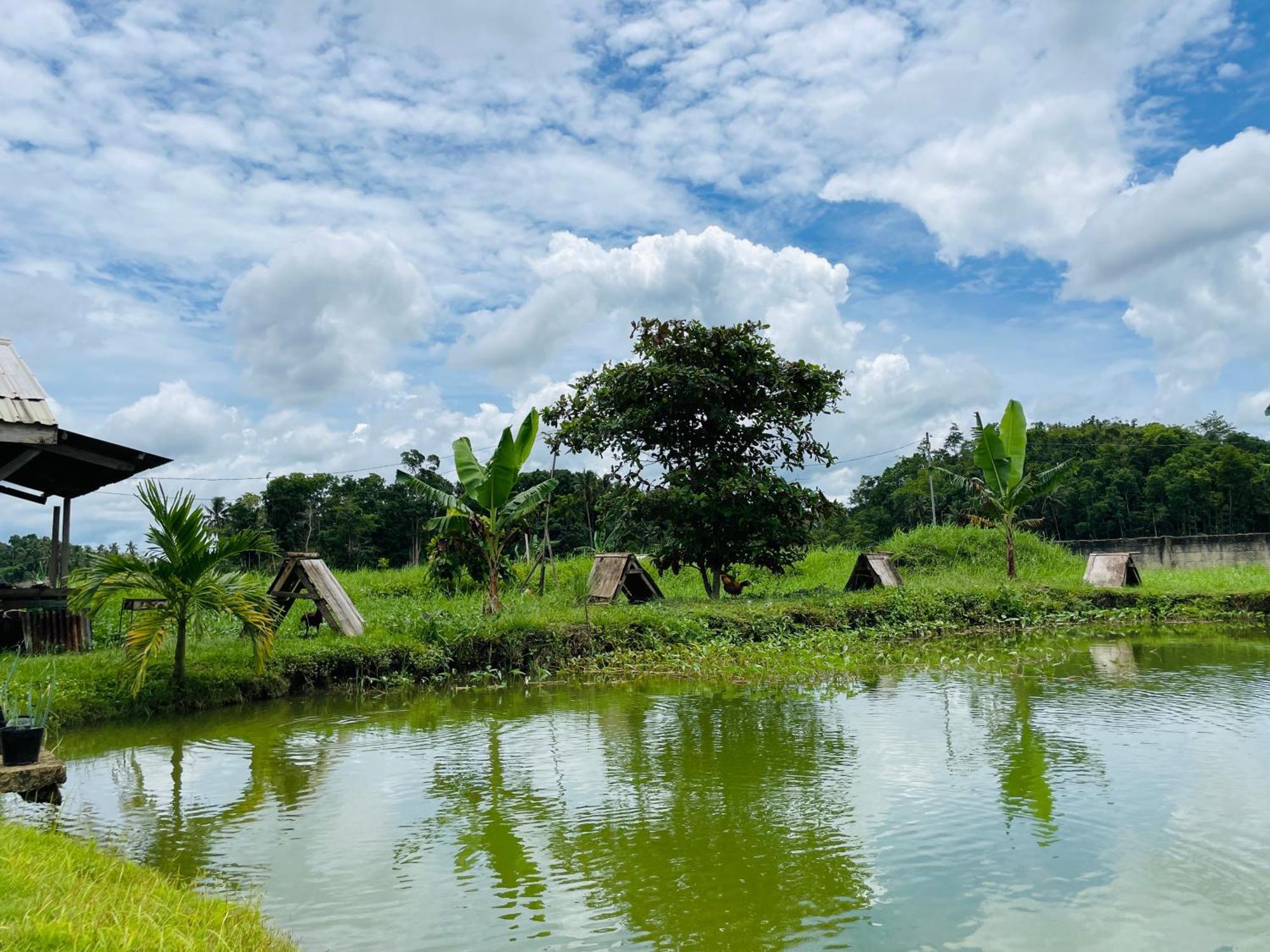 Jazz Ferme Inn Batuan Bohol Exterior foto